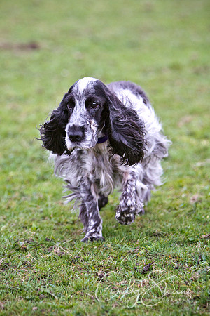 spring fling 2012-2449