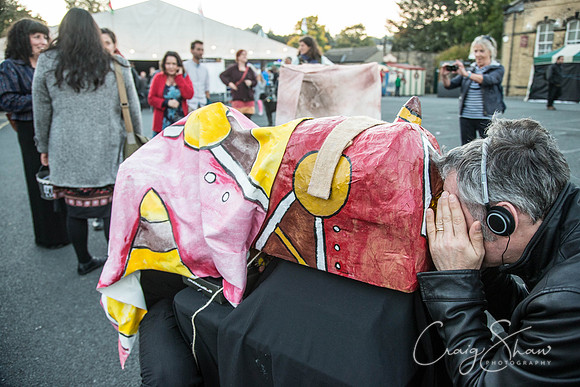 872_SkiptonPuppetFestival2015_Events_craigshaw