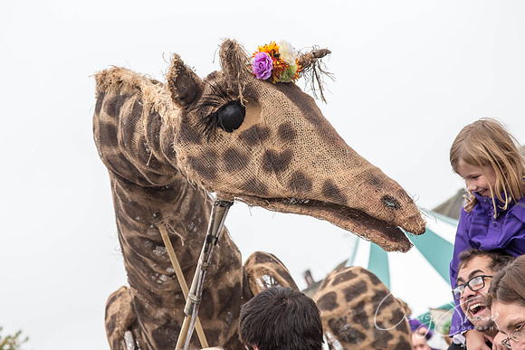 2436_SkiptonPuppetFestival2015_Events_craigshaw
