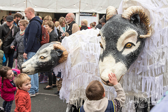 2800_SkiptonPuppetFestival2015_Events_craigshaw