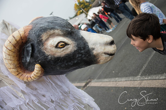3719_SkiptonPuppetFestival2015_Events_craigshaw