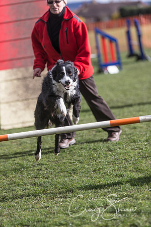 2188__SpringersFunDay_March2014_bluplanetphoto