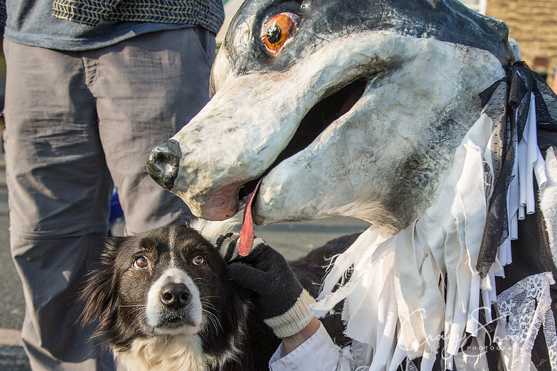 3029_SkiptonPuppetFestival2015_Sunday_Events_craigshaw