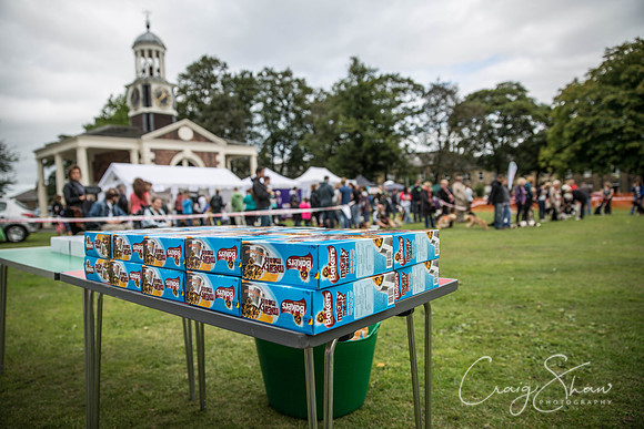 91_BarkintheParkHuddersfield_2014_bluplanetphoto