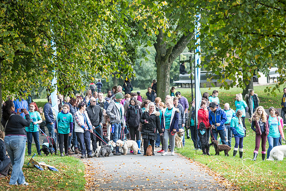 221_rspcaleedsbigwalkies_Events_craigshaw