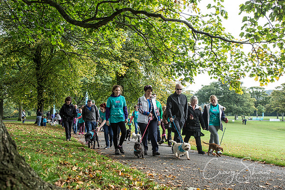 232_rspcaleedsbigwalkies_Events_craigshaw