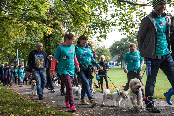 246_rspcaleedsbigwalkies_Events_craigshaw