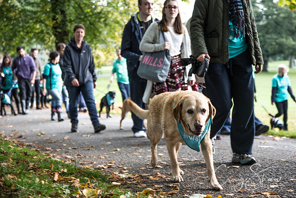 253_rspcaleedsbigwalkies_Events_craigshaw