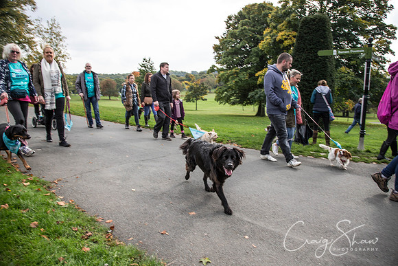 291_rspcaleedsbigwalkies_Events_craigshaw