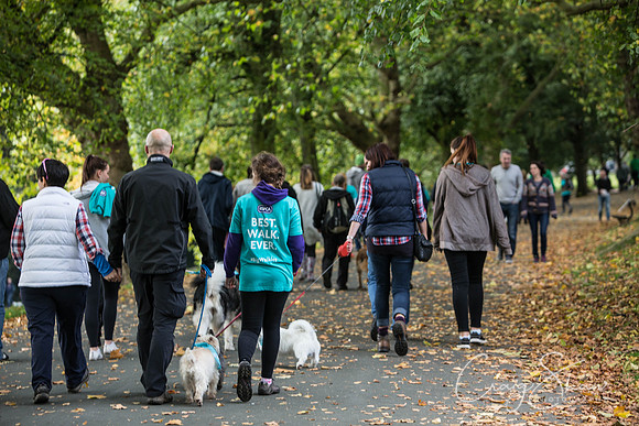 312_rspcaleedsbigwalkies_Events_craigshaw
