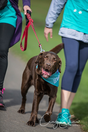 486_rspcaleedsbigwalkies_Events_craigshaw