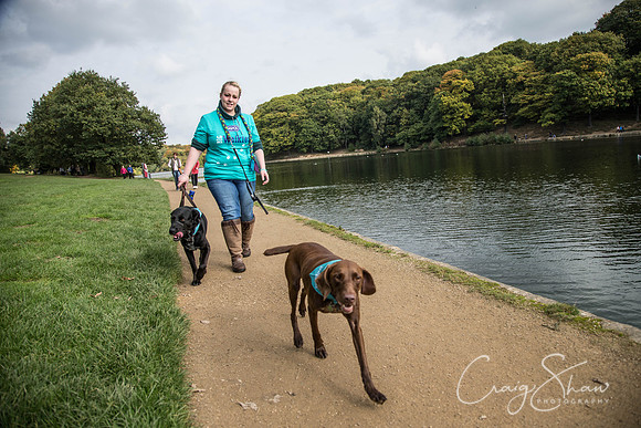 564_rspcaleedsbigwalkies_Events_craigshaw