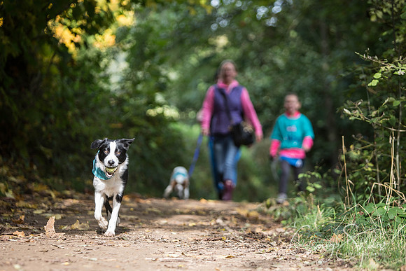 679_rspcaleedsbigwalkies_Events_craigshaw