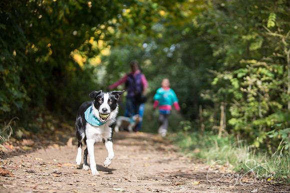 683_rspcaleedsbigwalkies_Events_craigshaw
