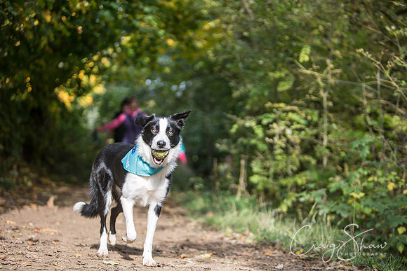 687_rspcaleedsbigwalkies_Events_craigshaw