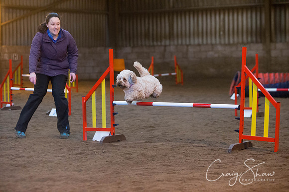 48_springfling2015_bluplanetphoto
