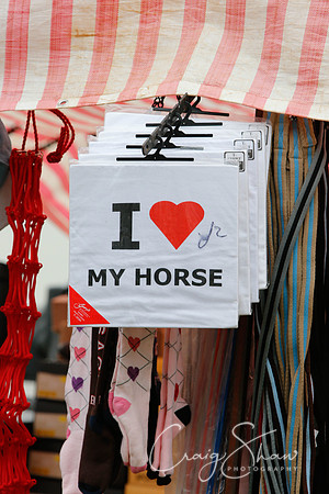 MottramShow2013-181_bluplanetphoto