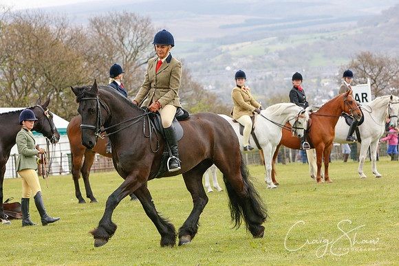 MottramShow2013-213_bluplanetphoto