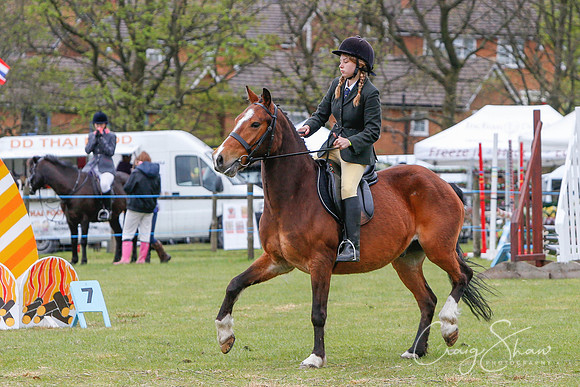 MottramShow2013-230_bluplanetphoto