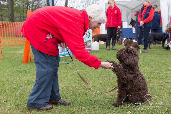 MottramShow2013-381_bluplanetphoto-Edit