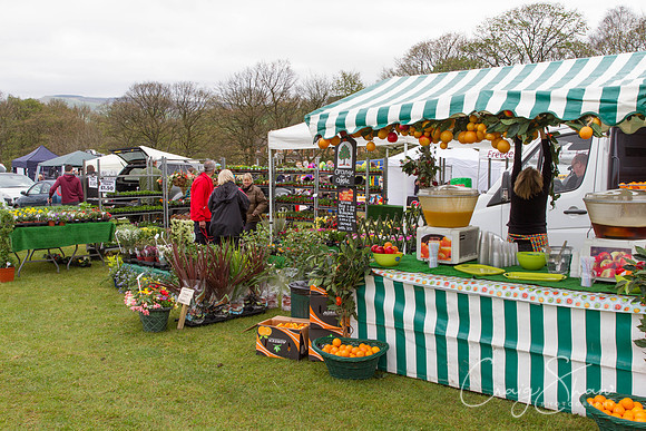 MottramShow2013-391_bluplanetphoto