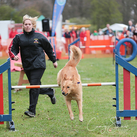 MottramShow2013-421_bluplanetphoto