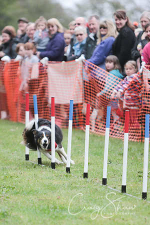 MottramShow2013-423_bluplanetphoto