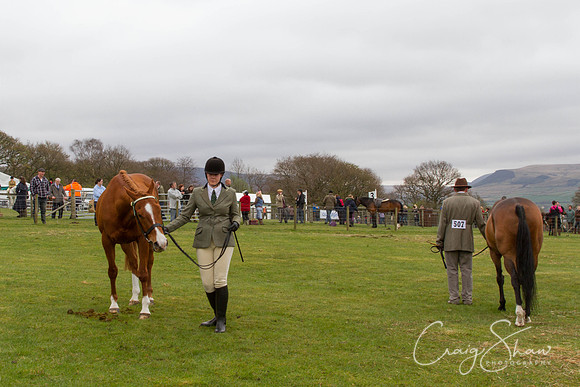 MottramShow2013-614_bluplanetphoto