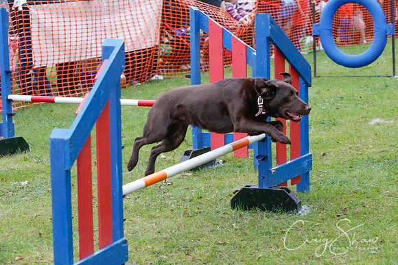 MottramShow2013-637_bluplanetphoto