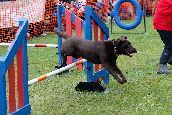 MottramShow2013-638_bluplanetphoto