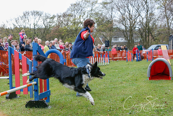 MottramShow2013-676_bluplanetphoto