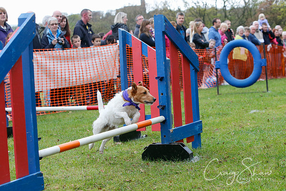 MottramShow2013-793_bluplanetphoto