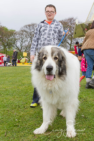 MottramShow2013-999_bluplanetphoto