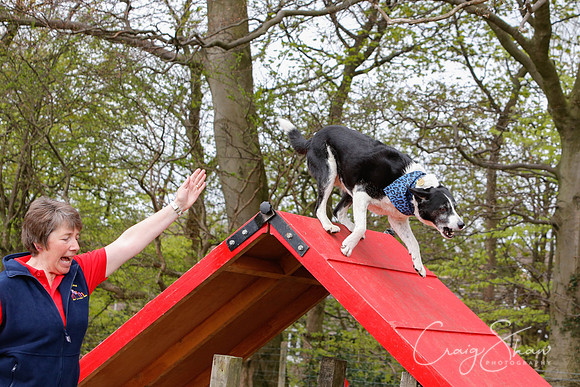 MottramShow2013-1411_bluplanetphoto