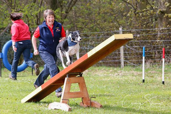 MottramShow2013-1425_bluplanetphoto
