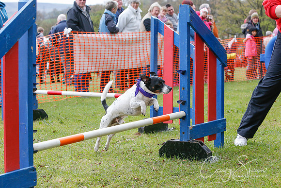 MottramShow2013-1439_bluplanetphoto