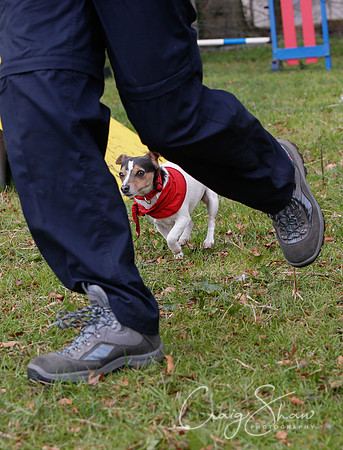 MottramShow2013-1467_bluplanetphoto