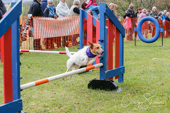 MottramShow2013-1514_bluplanetphoto