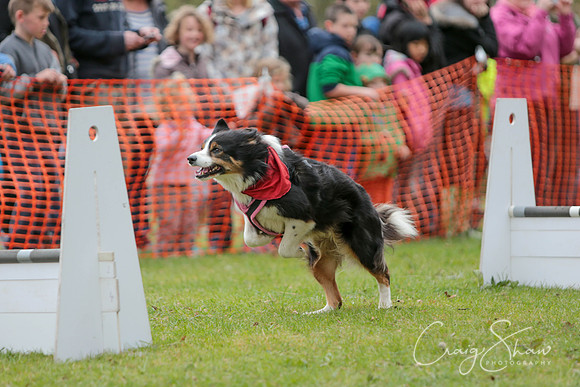 MottramShow2013-1867_bluplanetphoto