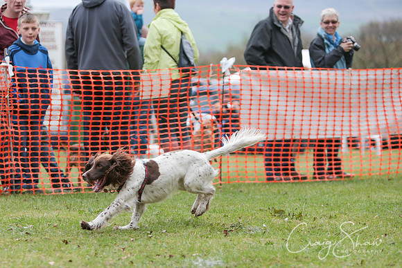 MottramShow2013-1881_bluplanetphoto