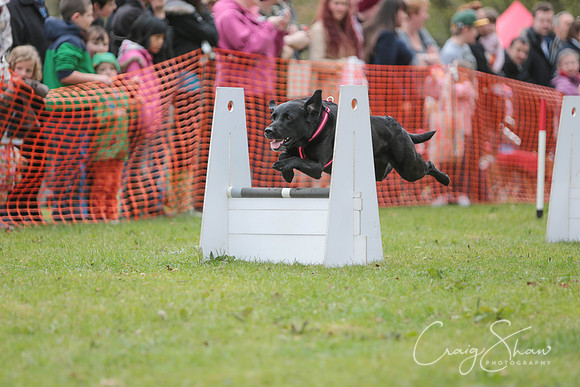 MottramShow2013-1884_bluplanetphoto