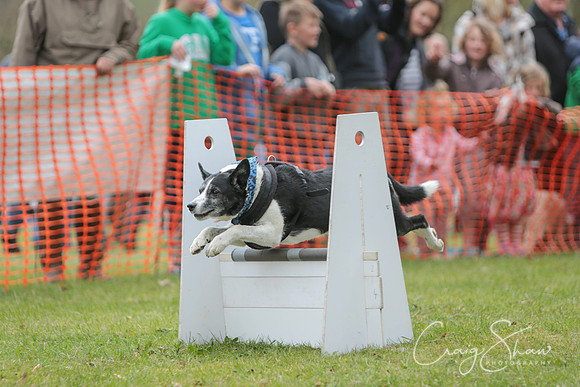 MottramShow2013-1897_bluplanetphoto