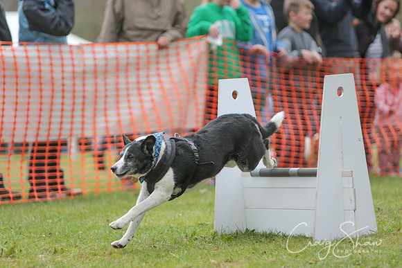 MottramShow2013-1898_bluplanetphoto