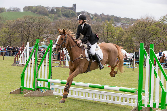 MottramShow2013-2303_bluplanetphoto