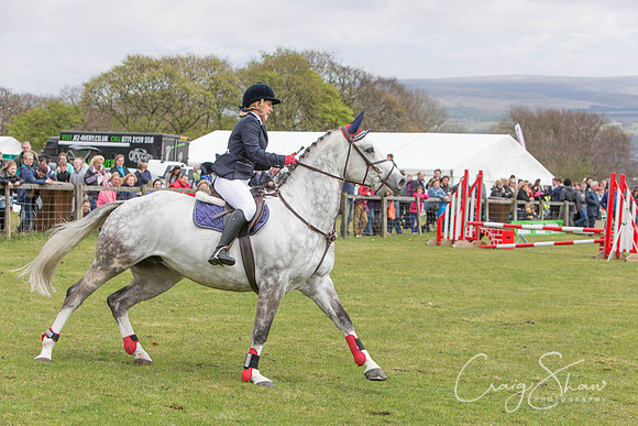 MottramShow2013-2330_bluplanetphoto