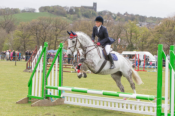 MottramShow2013-2335_bluplanetphoto