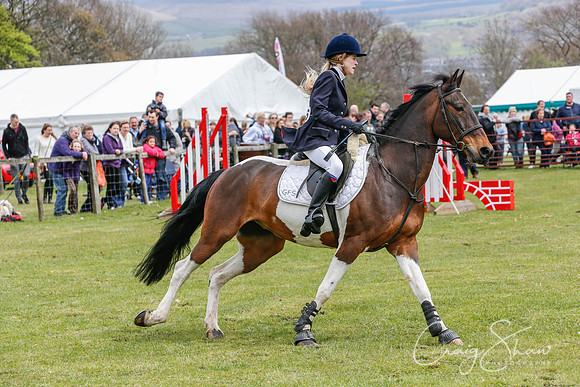 MottramShow2013-2363_bluplanetphoto