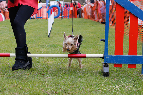 MottramShow2013-2533_bluplanetphoto
