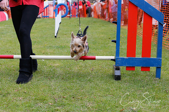 MottramShow2013-2534_bluplanetphoto