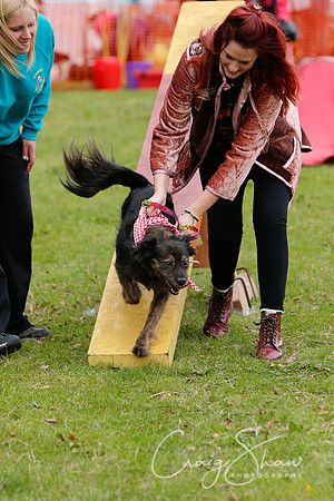 MottramShow2013-2542_bluplanetphoto